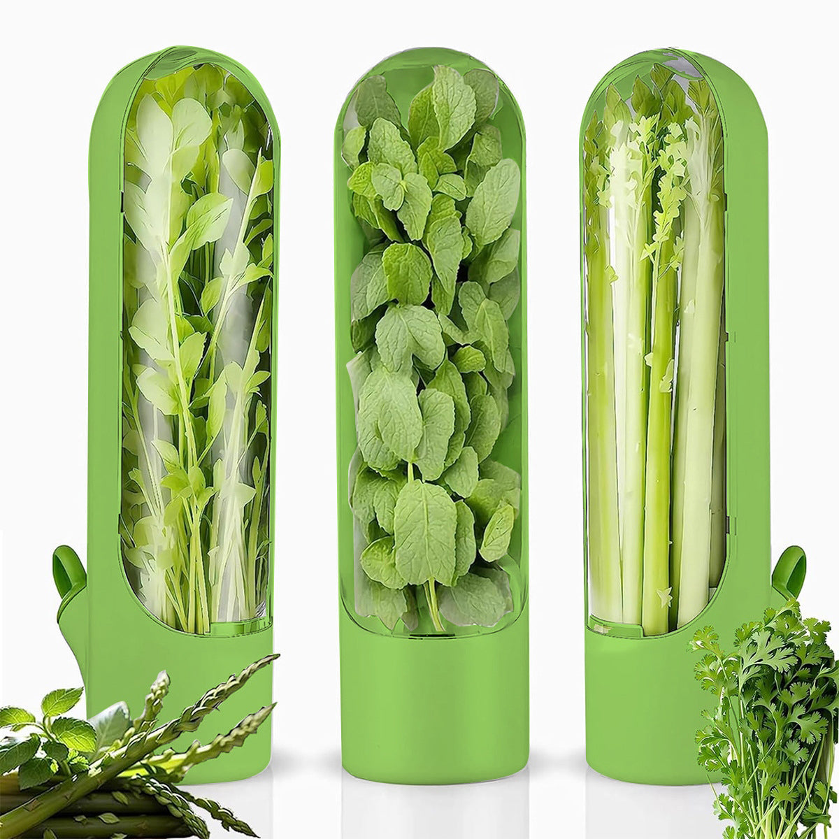Herb & Veggie Saver - Keep Your Greens Fresher for Longer